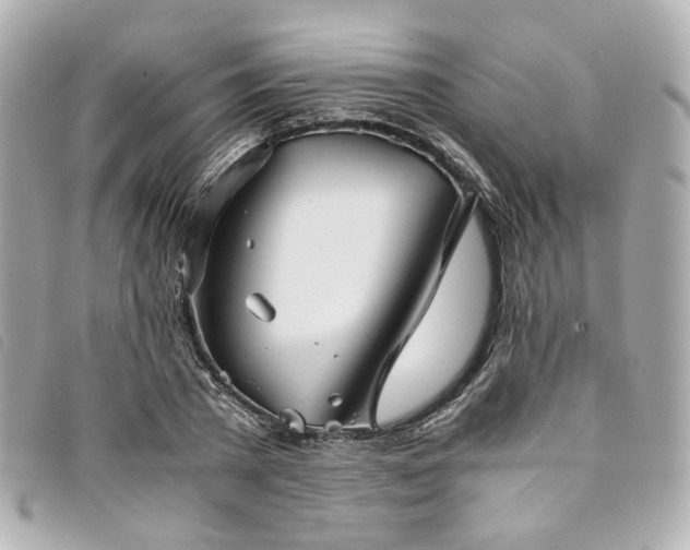 X0000094220785200710261229