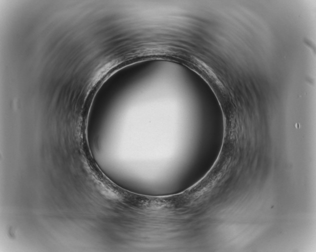 X0000094220786200710261229