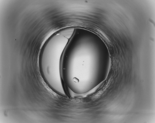 X0000094220788200710261229