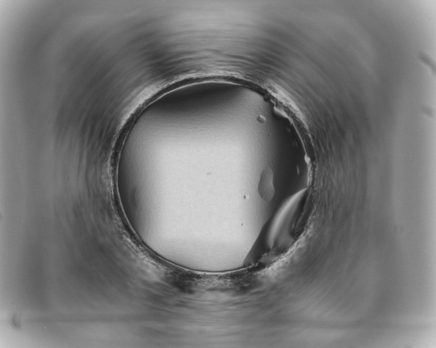 X0000094220789200710261229