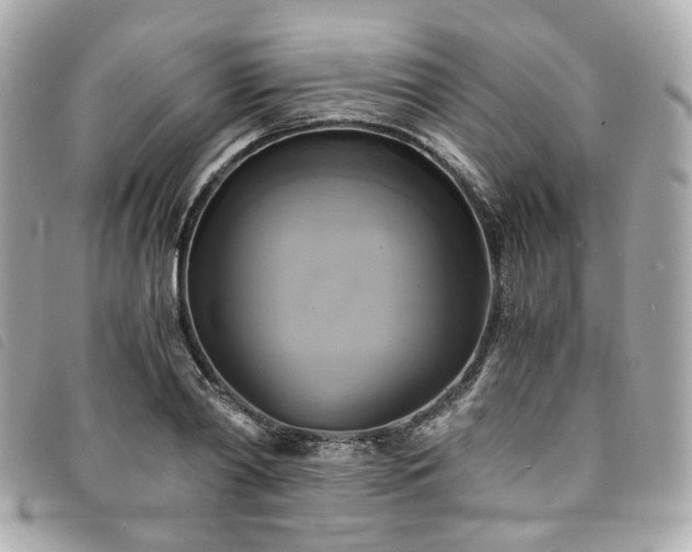 X0000094220790200710261229