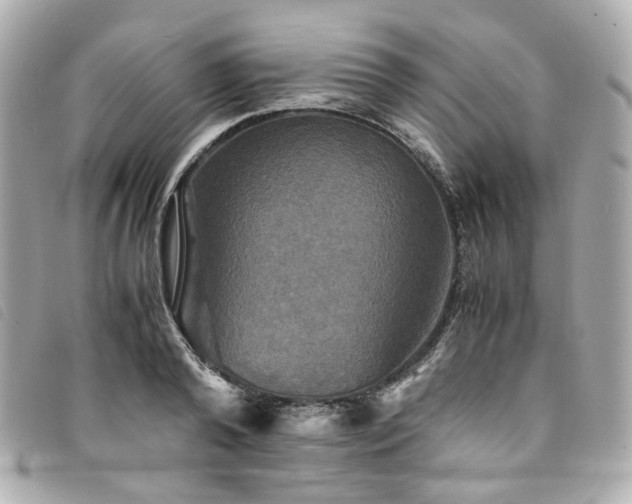 X0000094220792200710261229