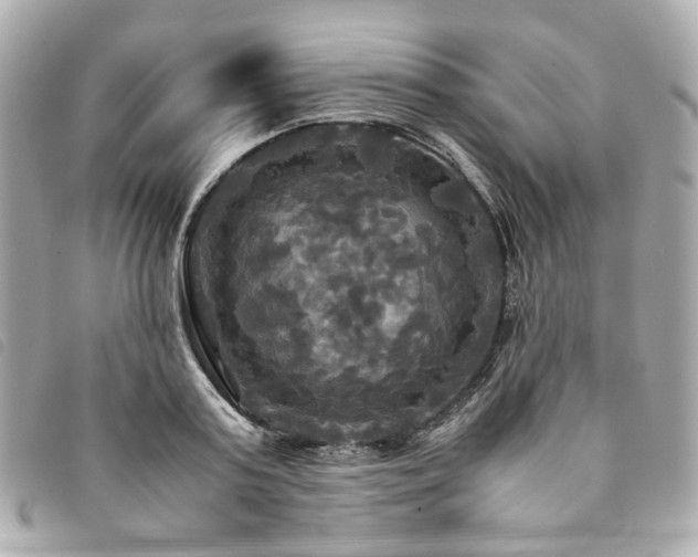 X0000094220795200710261229