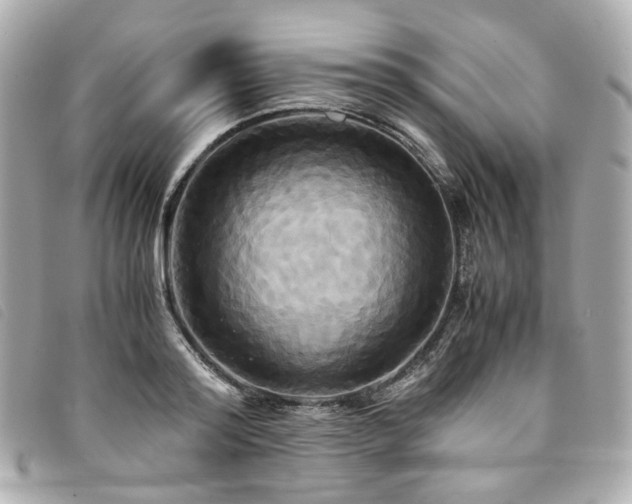 X0000094220796200710261229
