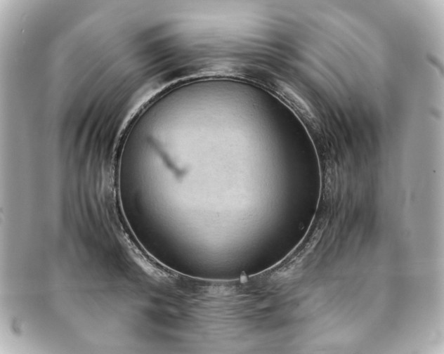 X0000094220800200710261229