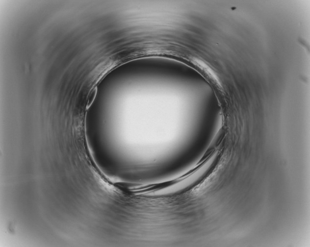 X0000094220801200710261229