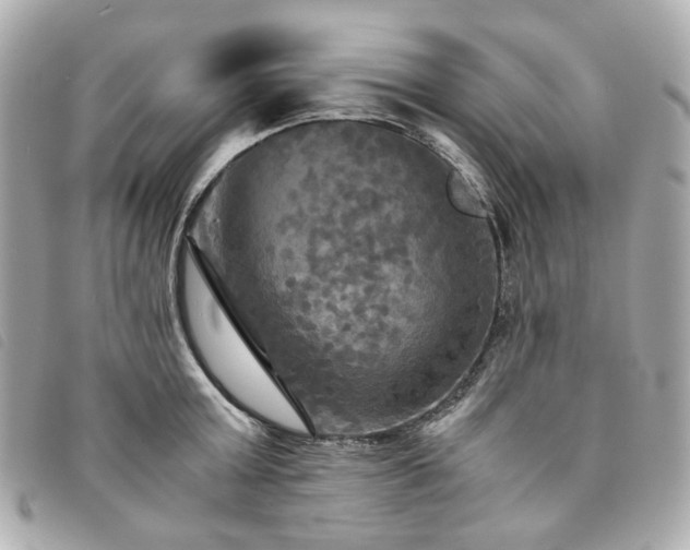 X0000094220803200710261229