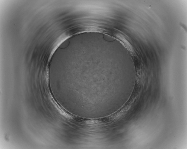 X0000094220804200710261229