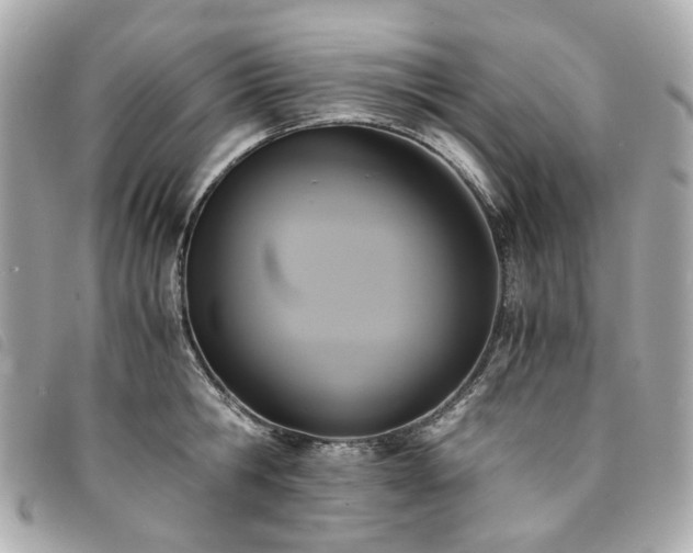 X0000094220806200710261229