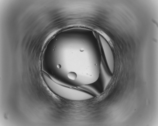 X0000094220807200710261229