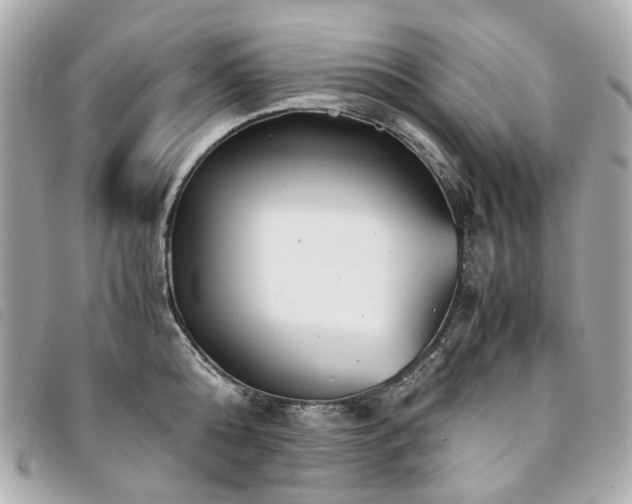 X0000094220808200710261229