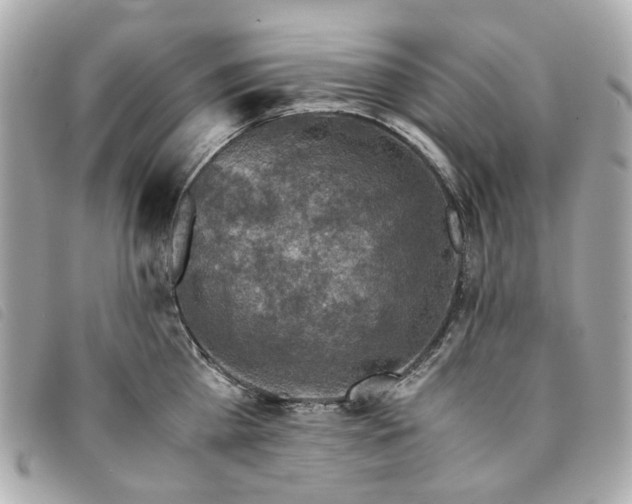 X0000094220809200710261229