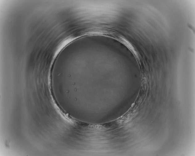 X0000094220811200710261229