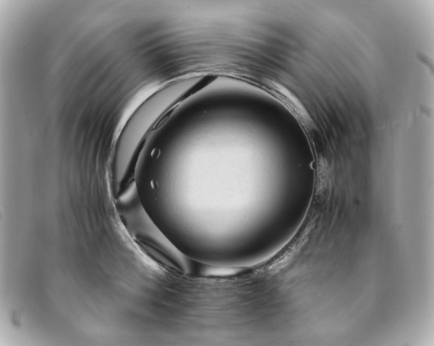 X0000094220812200710261228