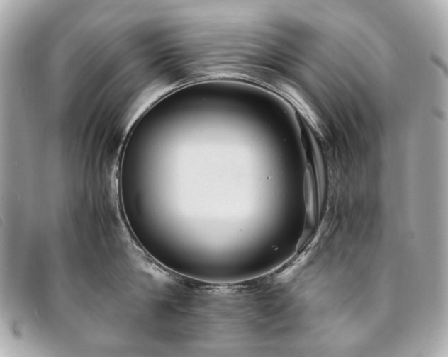 X0000094220814200710261228