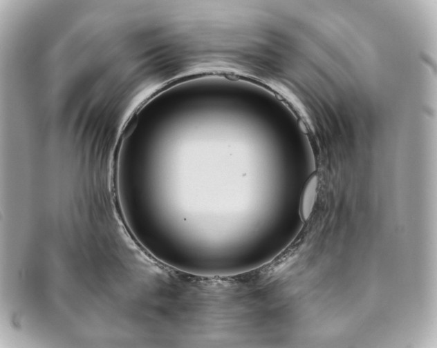 X0000094220815200710261228