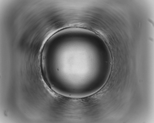 X0000094220816200710261228