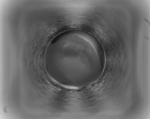 X0000094220817200710261228
