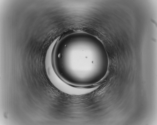X0000094220818200710261228