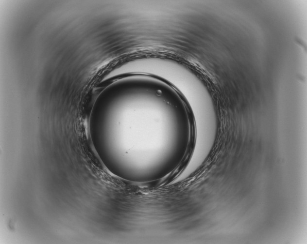 X0000094220822200710261228