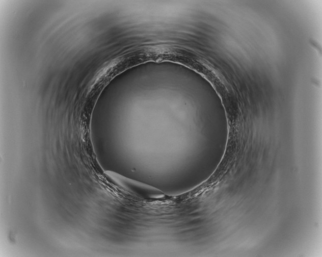 X0000094220823200710261228