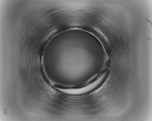 X0000094220825200710261228