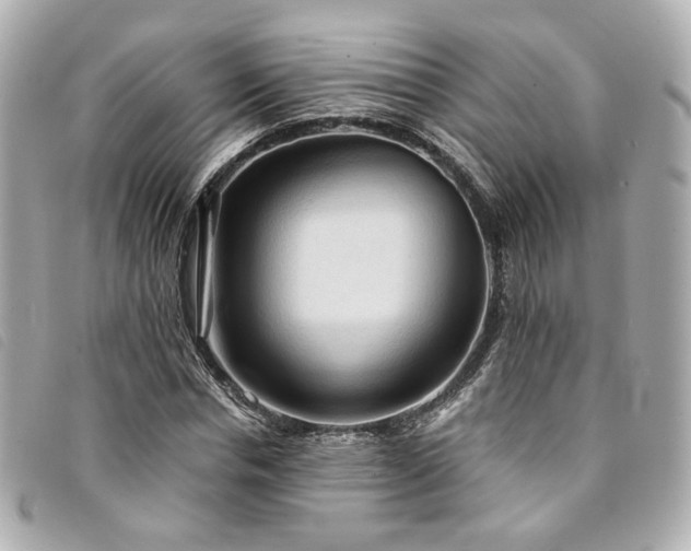 X0000094220826200710261228