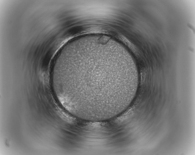 X0000094220828200710261228