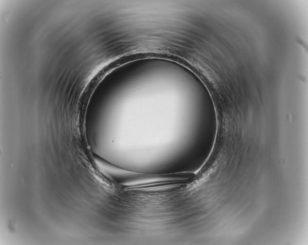 X0000094220830200710261228