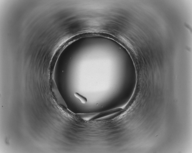 X0000094220831200710261228