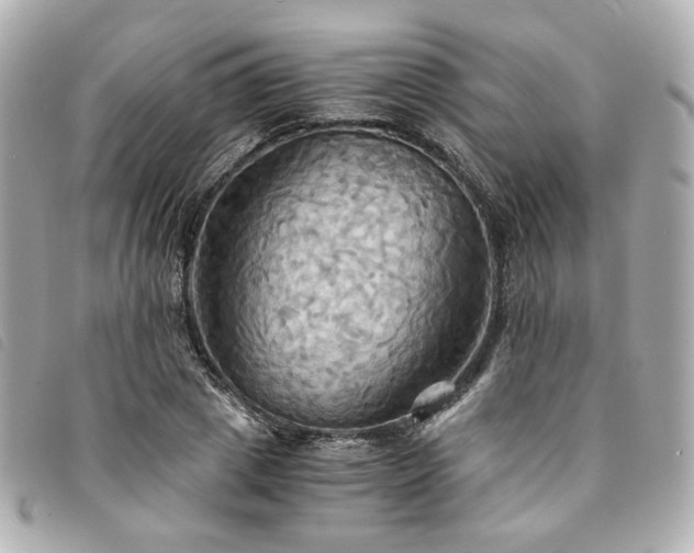 X0000094220833200710261228