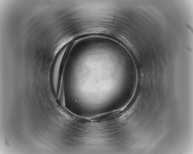 X0000094220834200710261228