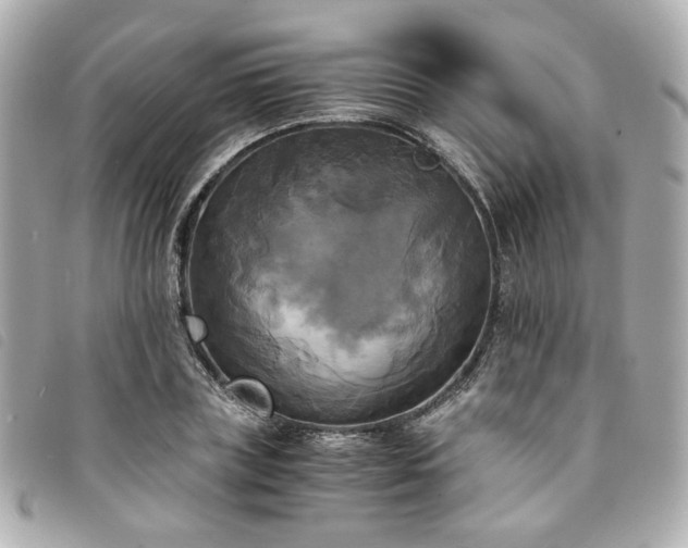 X0000094220835200710261228