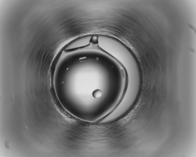 X0000094220838200710261228