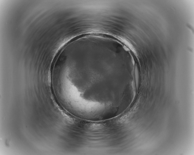 X0000094220839200710261228
