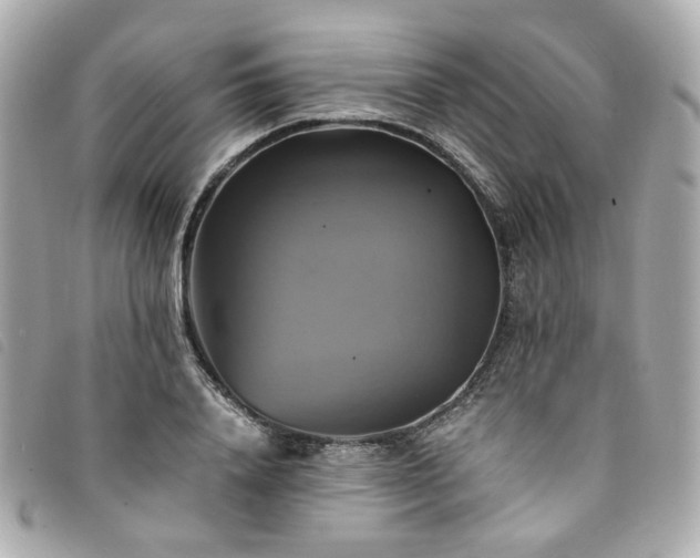X0000094220840200710261228