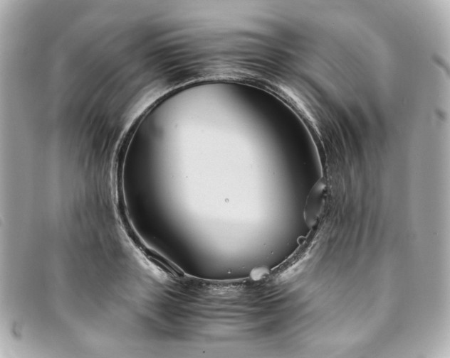 X0000094220843200710261228