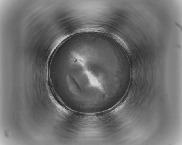 X0000094220844200710261228