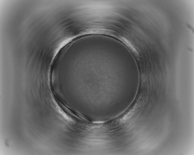 X0000094220846200710261228