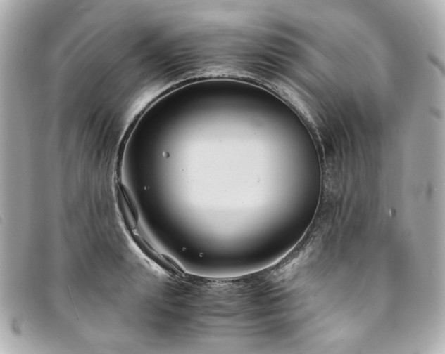 X0000094220847200710261228