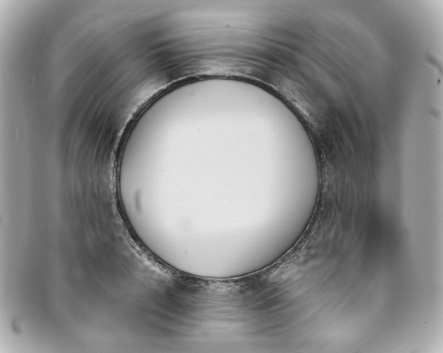 X0000094220848200710261228