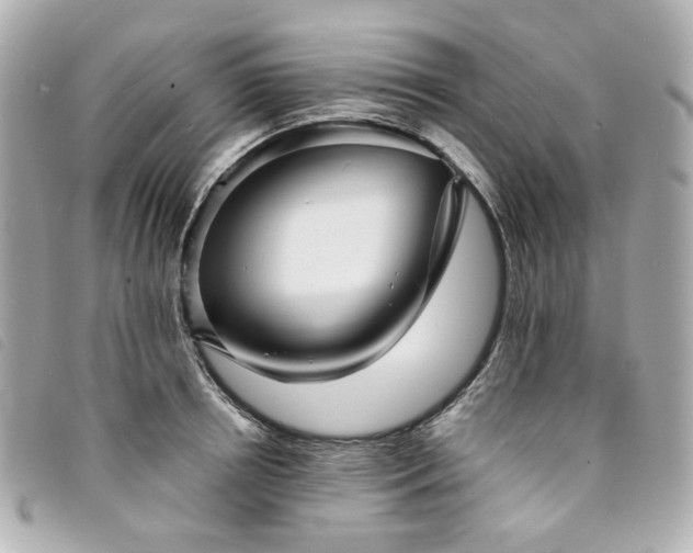 X0000094220850200710261228