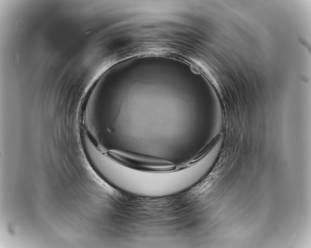 X0000094220851200710261228