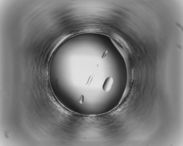 X0000094220852200710261228