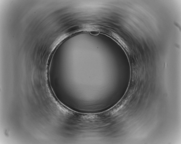 X0000094220853200710261228