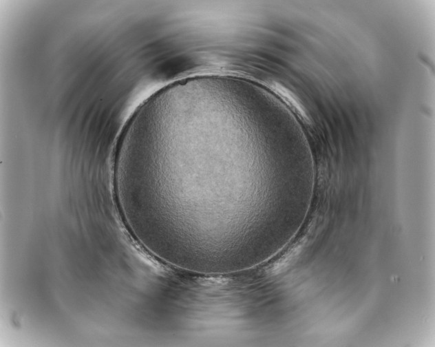 X0000094220854200710261228