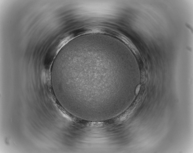 X0000094220858200710261228