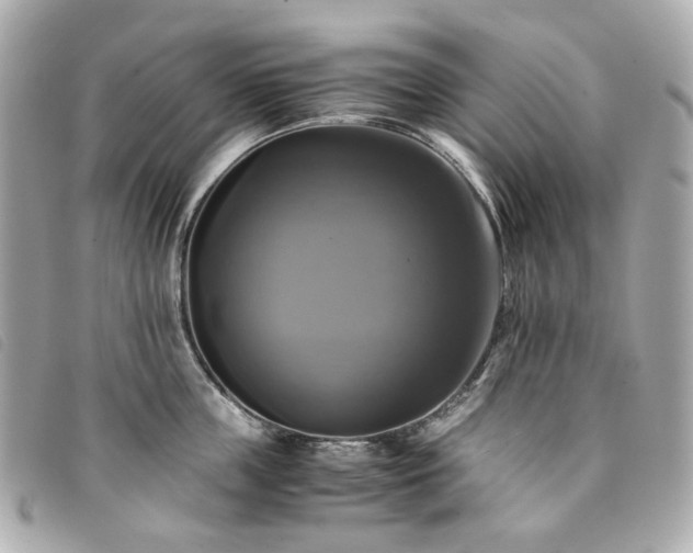 X0000094220859200710261228