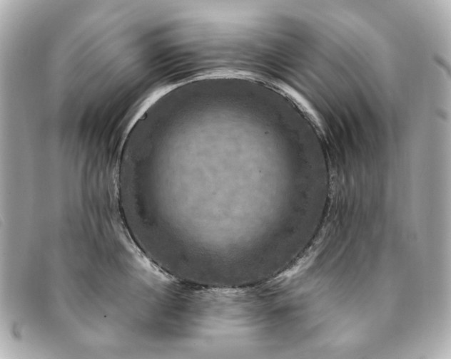 X0000094220860200710261228