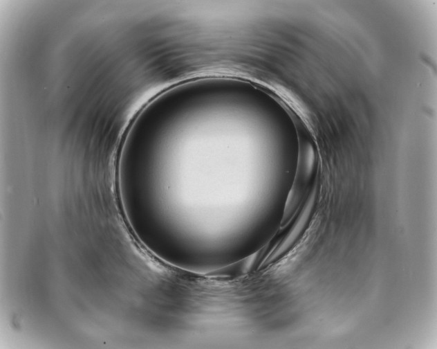 X0000094220862200710261228